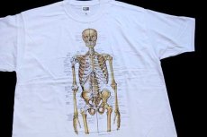 画像1: デッドストック★00s Anatomical Chart Co. 人体 骨格 模型 コットンTシャツ 白 L (1)