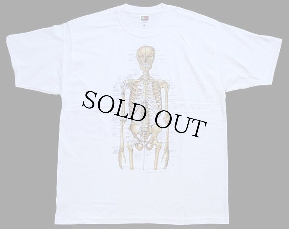 画像2: デッドストック★00s Anatomical Chart Co. 人体 骨格 模型 コットンTシャツ 白 L (2)