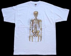 画像2: デッドストック★00s Anatomical Chart Co. 人体 骨格 模型 コットンTシャツ 白 L (2)
