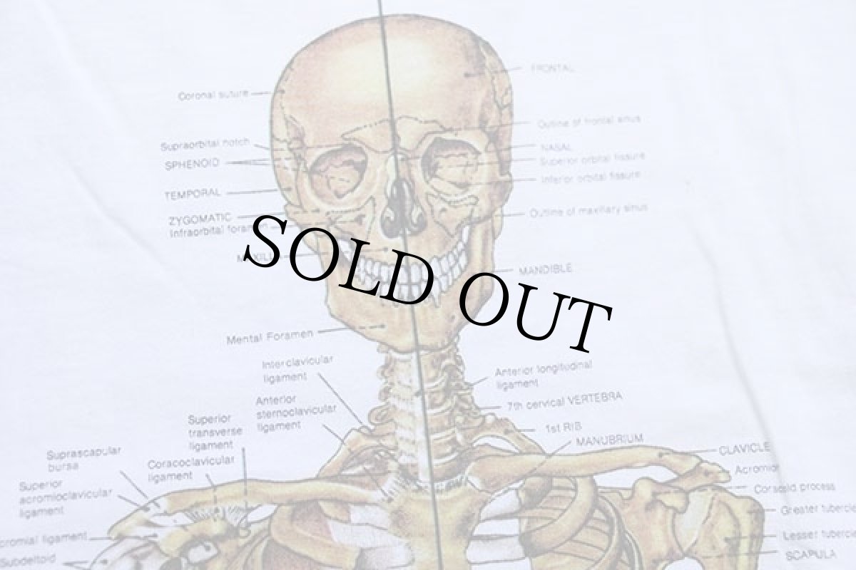 画像3: デッドストック★00s Anatomical Chart Co. 人体 骨格 模型 コットンTシャツ 白 L (3)