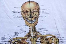 画像3: デッドストック★00s Anatomical Chart Co. 人体 骨格 模型 コットンTシャツ 白 L (3)