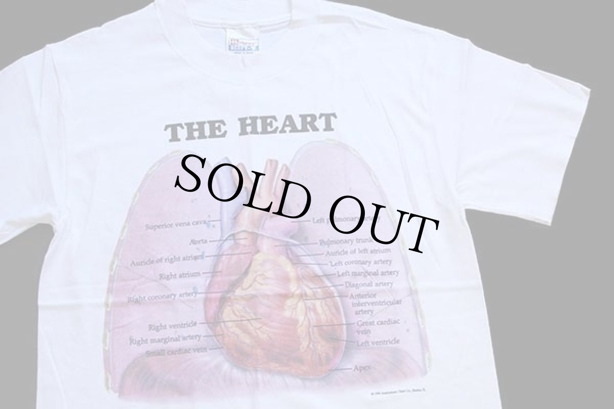 画像1: デッドストック★90s Hanes Anatomical Chart Co. THE HEART 人体 臓器 心臓 コットンTシャツ 白 S (1)