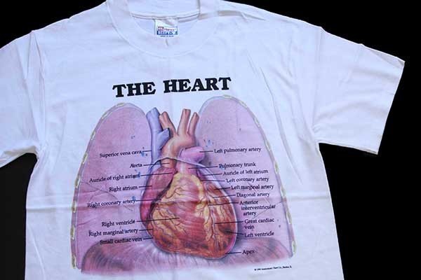 デッドストック☆90s Hanes Anatomical Chart Co. THE HEART 人体 臓器