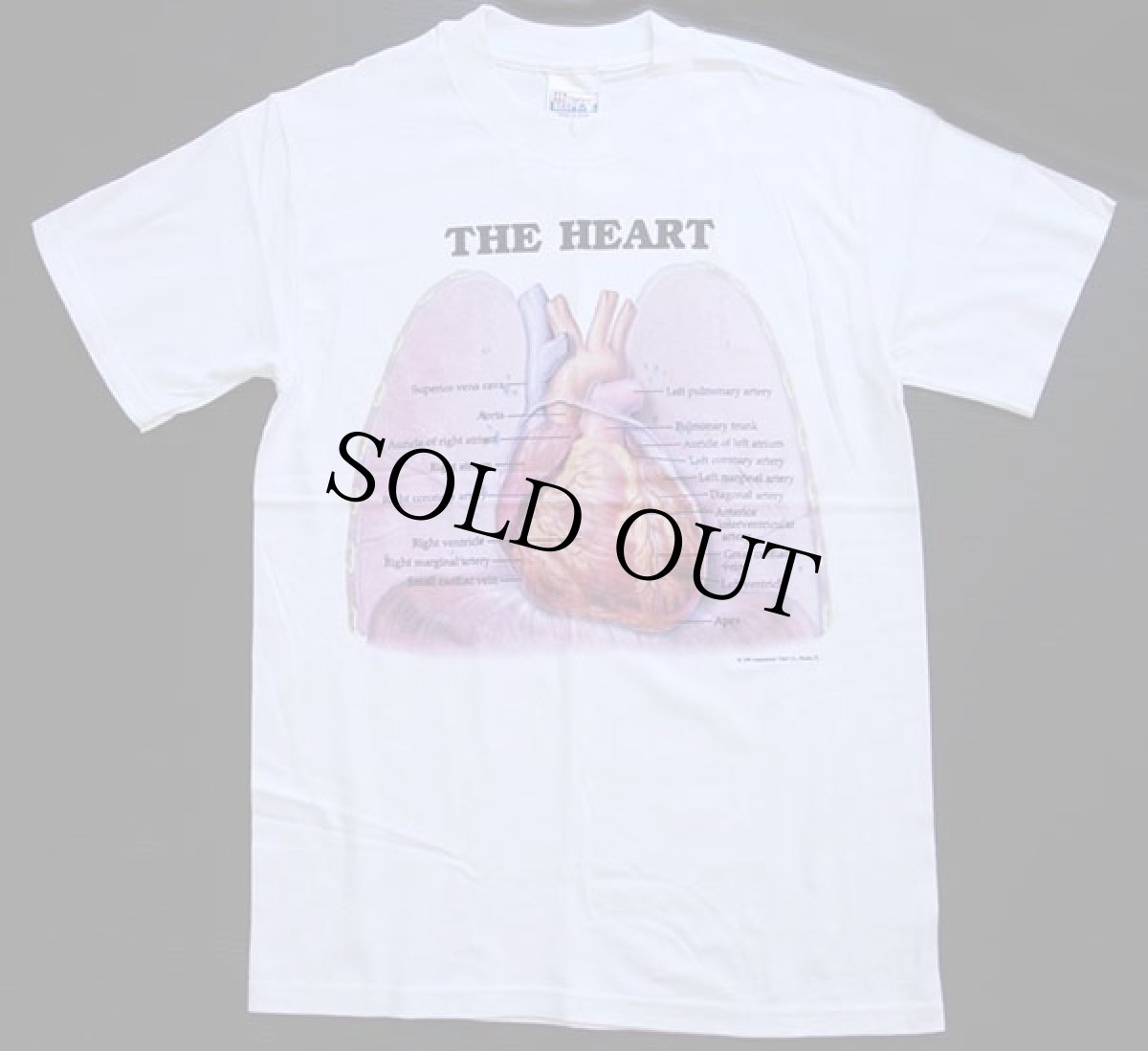 画像2: デッドストック★90s Hanes Anatomical Chart Co. THE HEART 人体 臓器 心臓 コットンTシャツ 白 S (2)