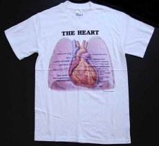 画像2: デッドストック★90s Hanes Anatomical Chart Co. THE HEART 人体 臓器 心臓 コットンTシャツ 白 S (2)