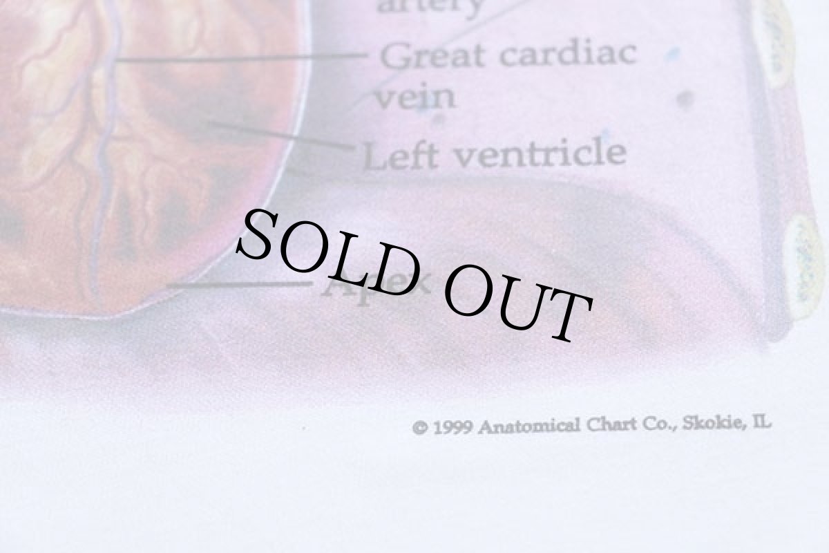 画像3: デッドストック★90s Hanes Anatomical Chart Co. THE HEART 人体 臓器 心臓 コットンTシャツ 白 S (3)