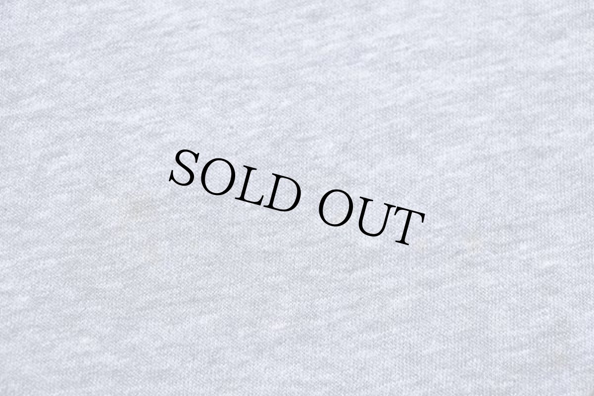 画像6: 80s USA製 Hanes UNIVERSITY OF BUDWEISER バドワイザー Tシャツ 杢グレー L (6)