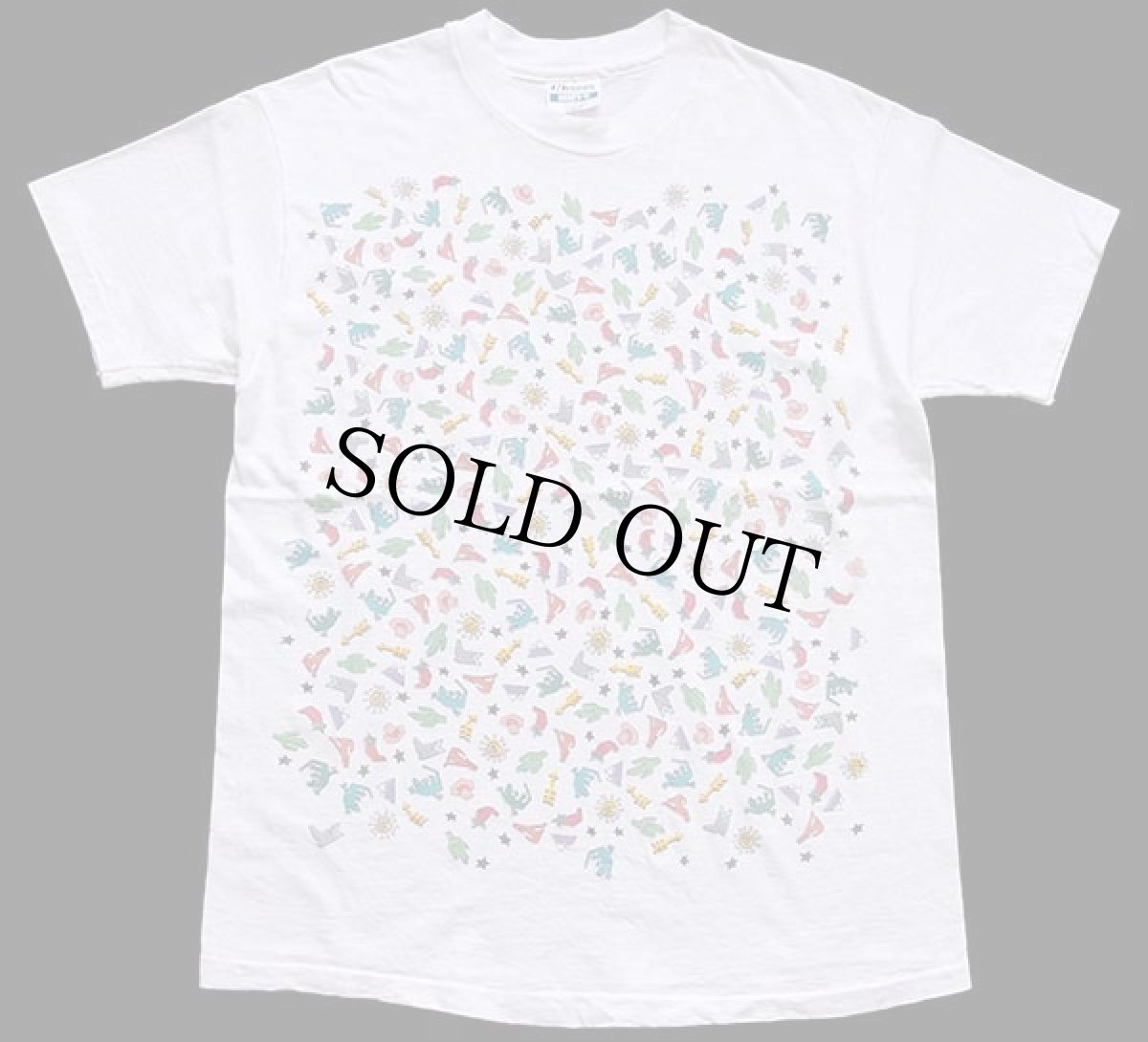 画像2: 80s USA製 Hanes サボテン ハット ブーツ トカゲ 太陽 アート コットンTシャツ 白 L (2)