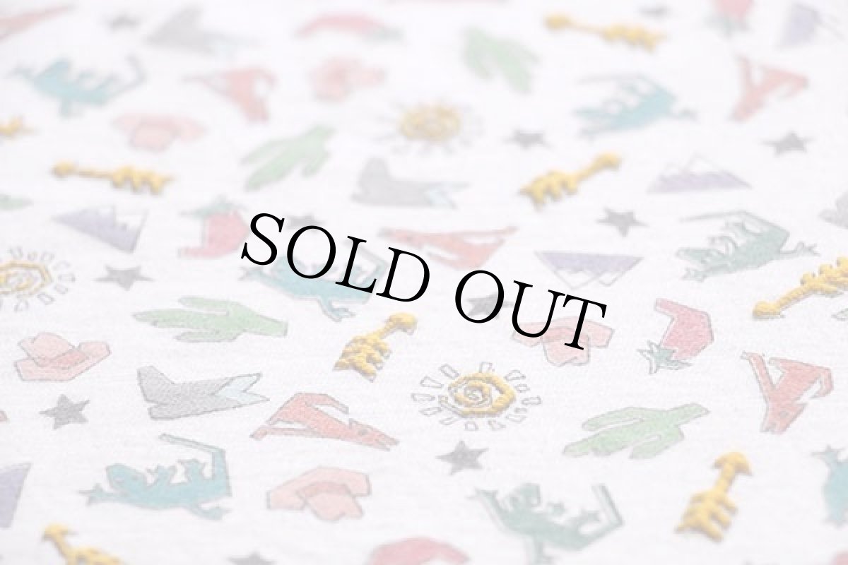 画像5: 80s USA製 Hanes サボテン ハット ブーツ トカゲ 太陽 アート コットンTシャツ 白 L (5)