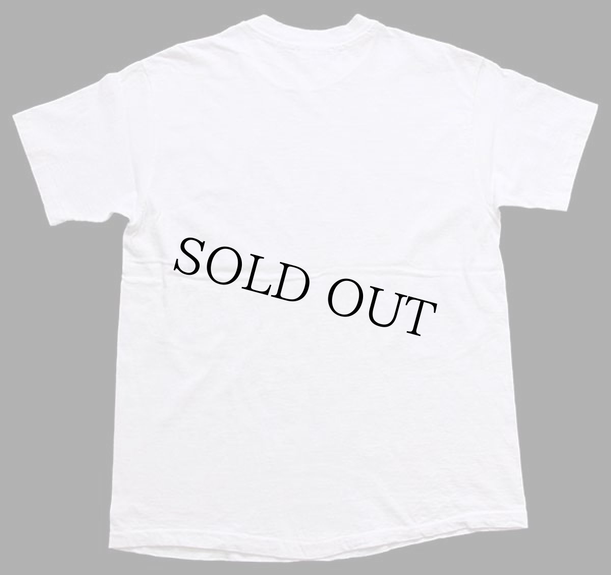 画像3: 80s USA製 Hanes サボテン ハット ブーツ トカゲ 太陽 アート コットンTシャツ 白 L (3)