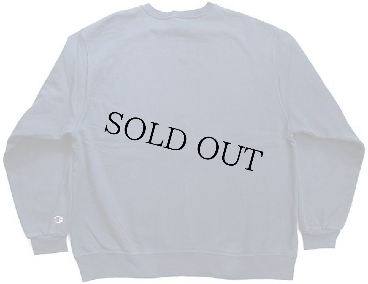 画像2: 90s Championチャンピオン NORTH CAROLINA TAR HEELS マスコット 前V スウェット 紺 XL (2)