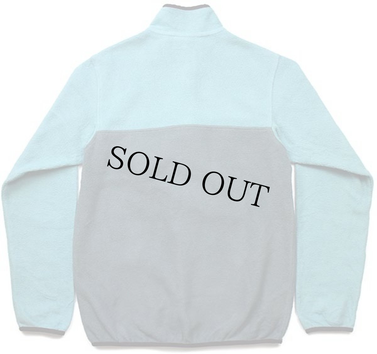 画像2: patagoniaパタゴニア バイカラー シンチラ フリース スナップT NUVG W-S (2)