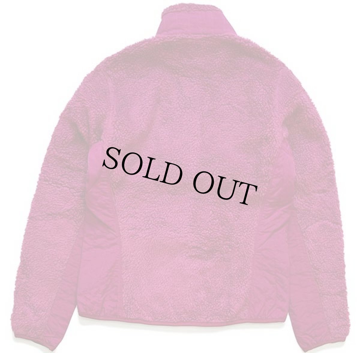 画像2: patagoniaパタゴニア レトロX フリースジャケット MAG W-S (2)