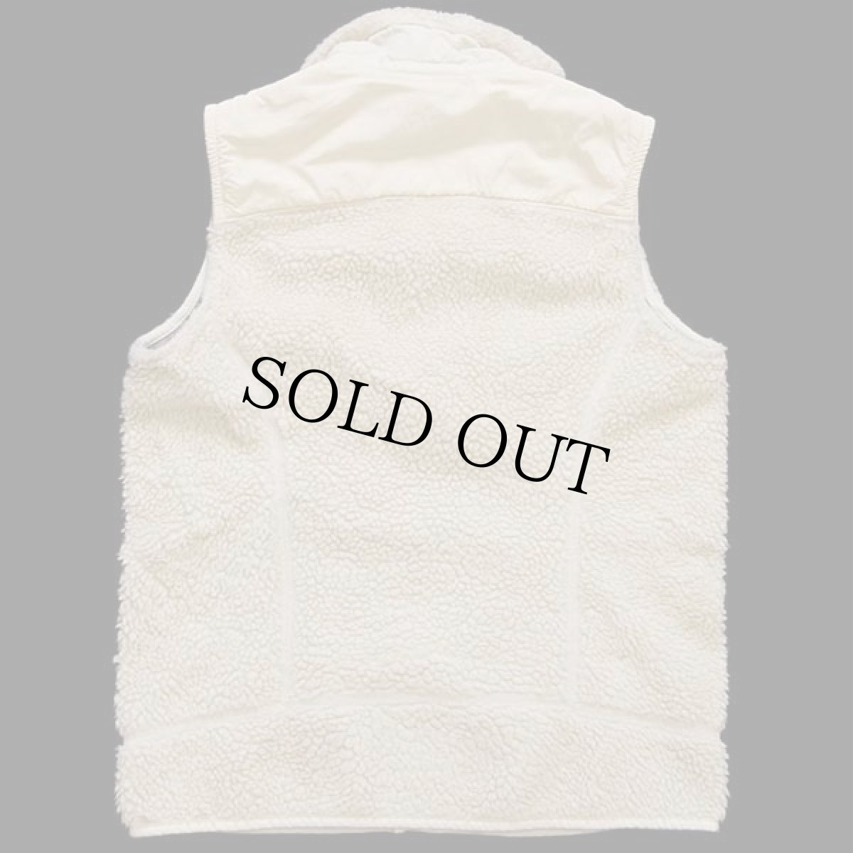 画像2: patagoniaパタゴニア レトロX フリースベスト ナチュラル W-M (2)