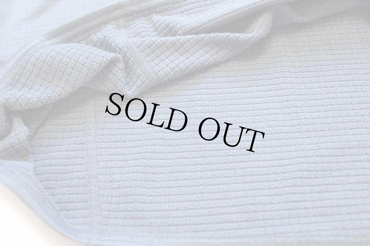 画像5: patagoniaパタゴニア R1 フラッシュプルオーバー POLARTEC フリース NKL L (5)