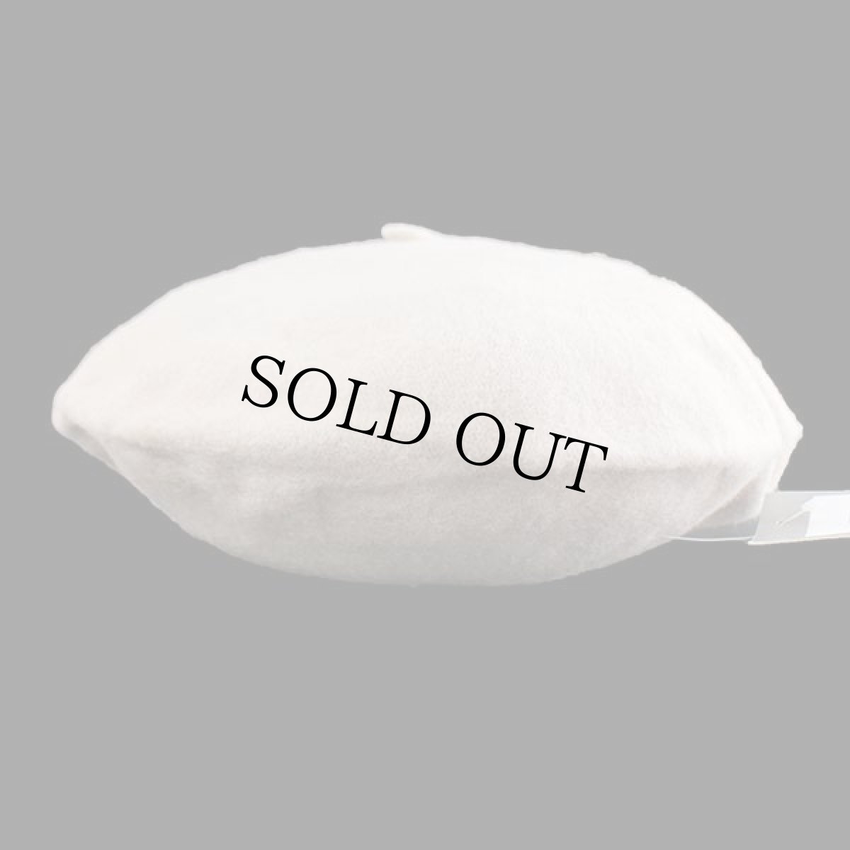 画像2: デッドストック★イタリア製 NEXOS バラ刺繍 ウール ベレー帽 ベージュ (2)