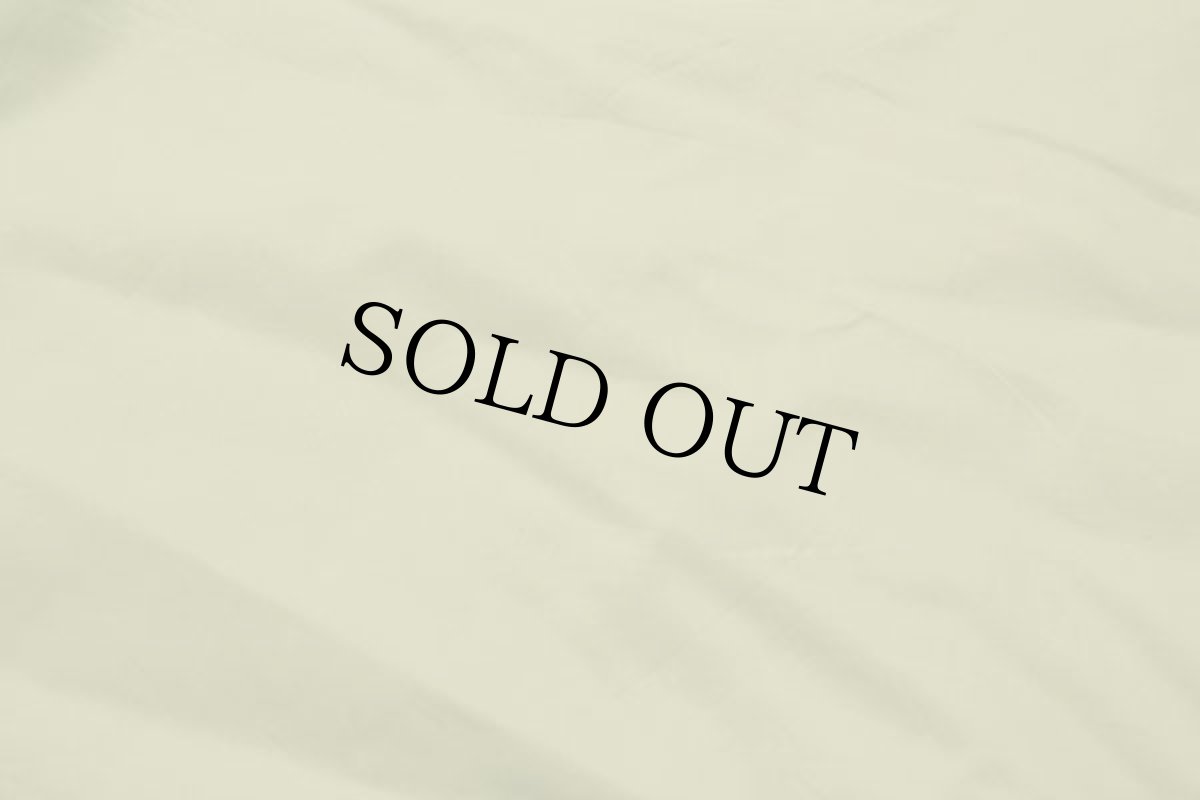 画像8: 90s L.L.Bean GORE-TEXゴアテックス ナイロン アノラックパーカー マスタード L (8)