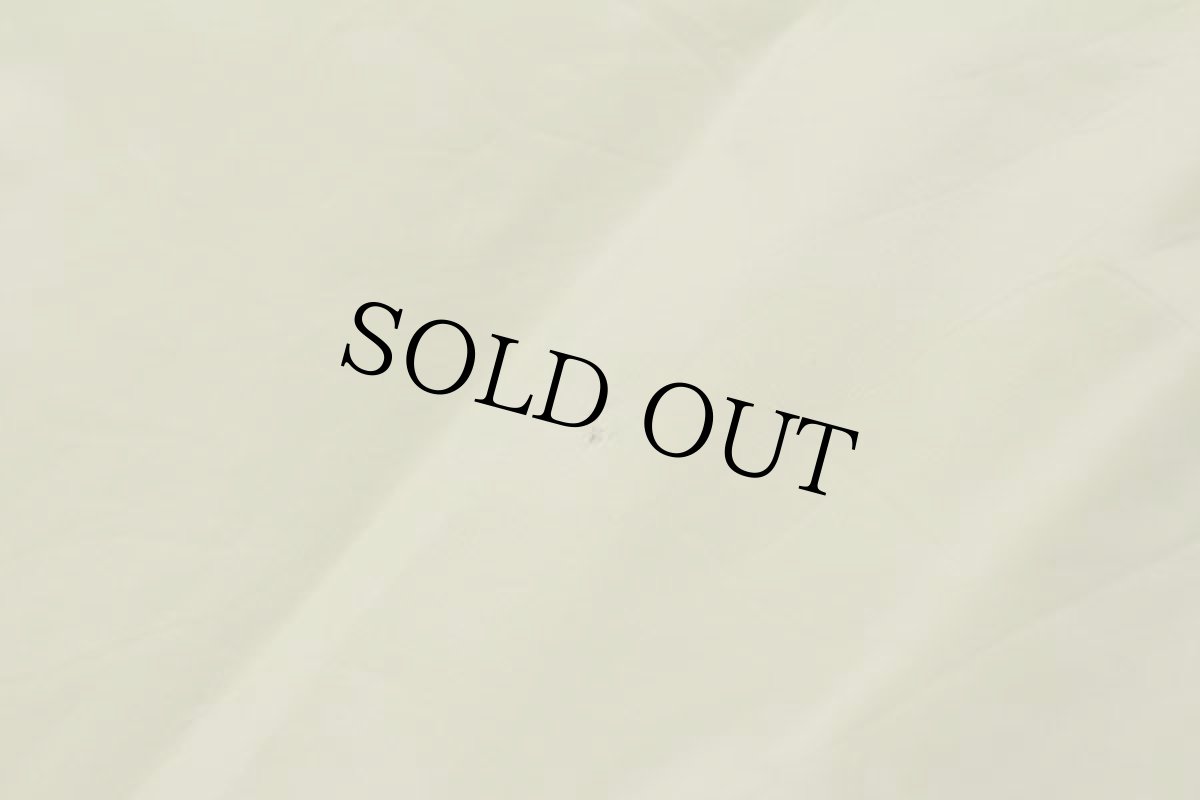 画像9: 90s L.L.Bean GORE-TEXゴアテックス ナイロン アノラックパーカー マスタード L (9)