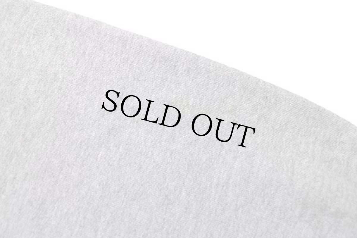 画像5: 00s メキシコ製 Championチャンピオン MICHIGAN スウェット 杢グレー L (5)