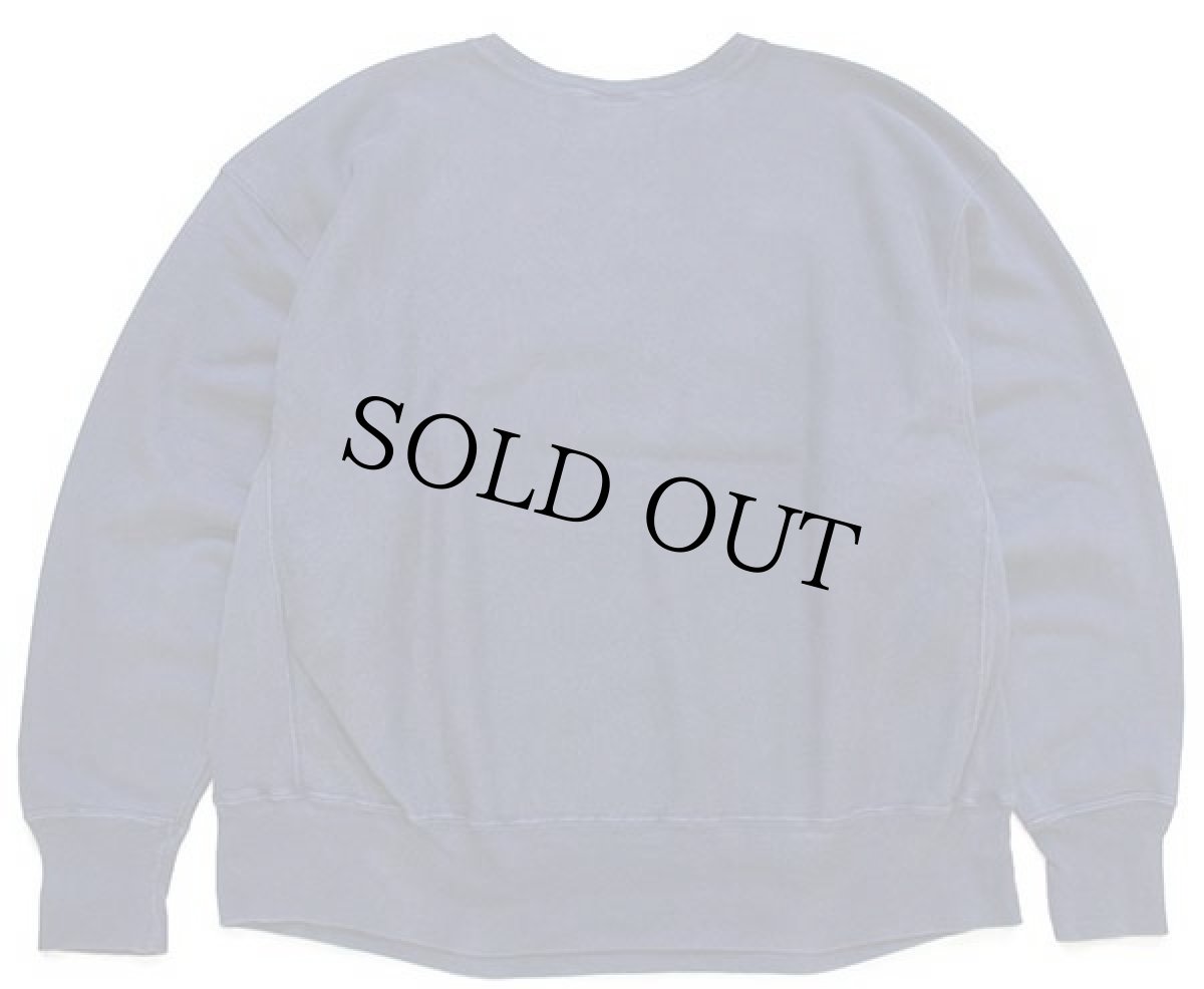 画像2: 00s メキシコ製 Championチャンピオン MICHIGAN ひび割れプリント リバースウィーブ スウェット 紺 XXL★特大 (2)