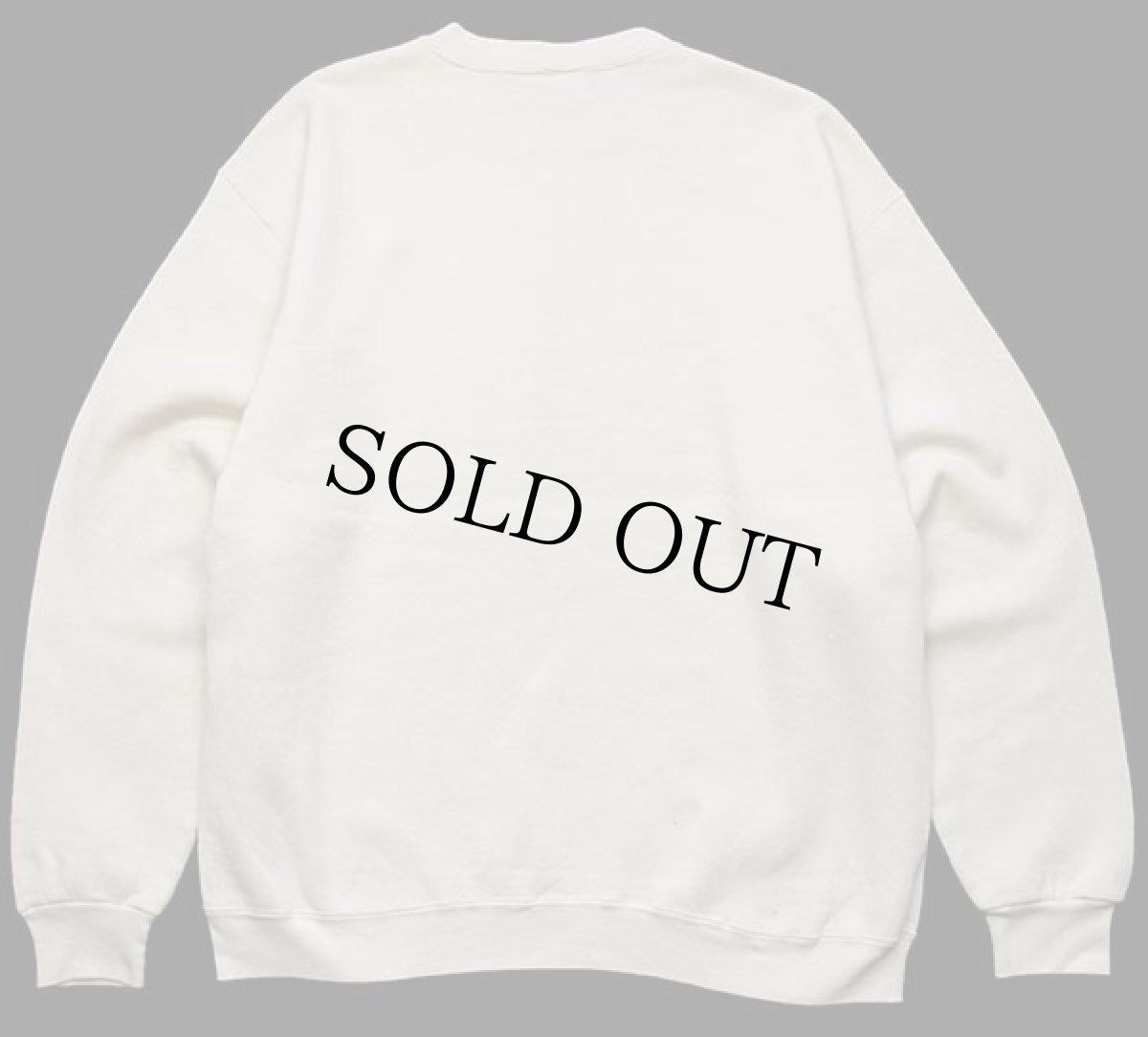 画像2: 90s USA製 Ducks Unlimited Nasty Boys ドッグ アート スウェット クリーム L (2)