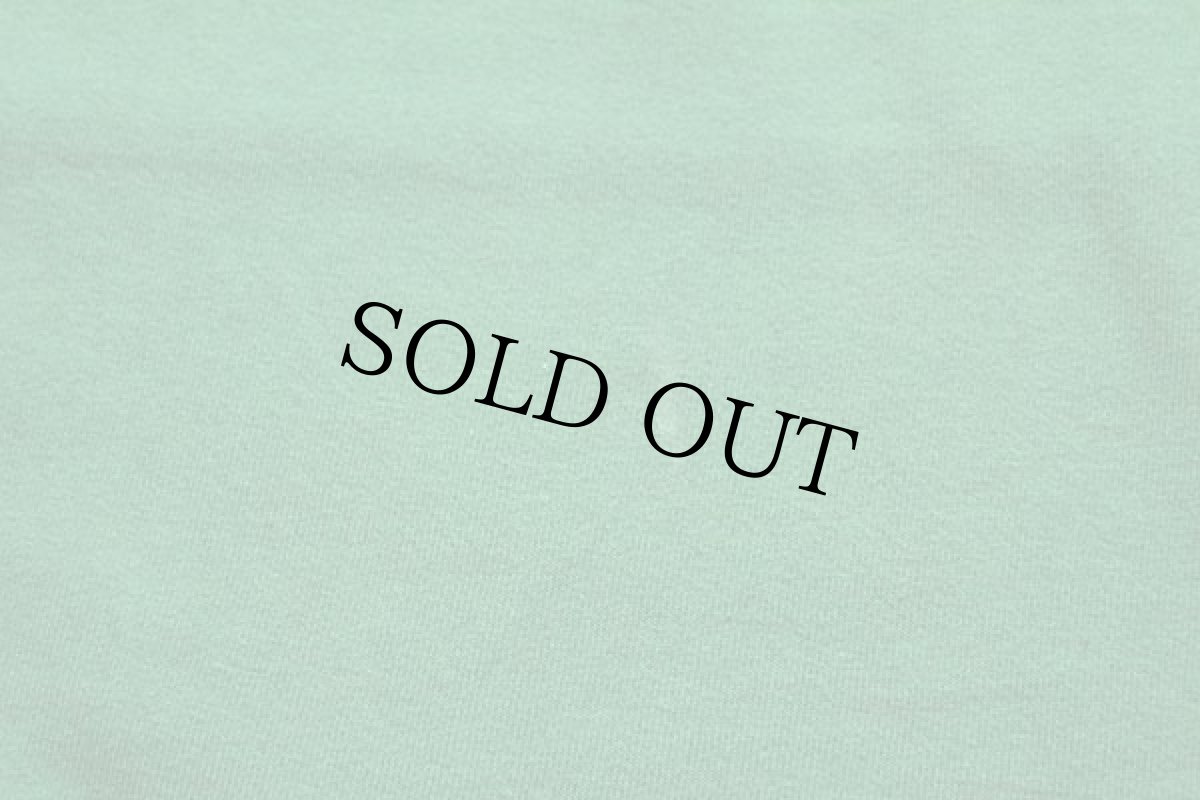 画像6: 80s USA製 RUSSELLラッセル First Alabama Bank 前V スウェット 緑 L (6)