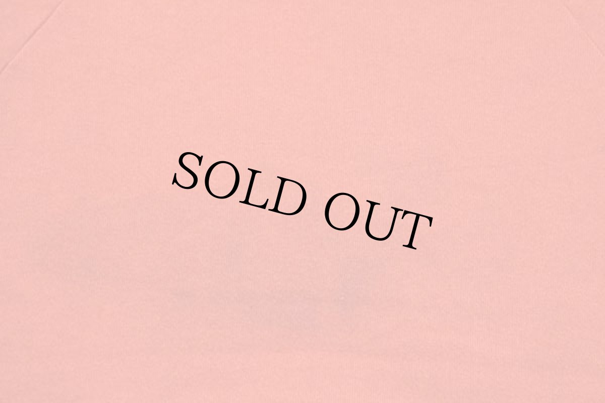 画像9: 80s USA製 FLORIDA GATORS マスコット スウェット オレンジ L★RUSSELLラッセル (9)