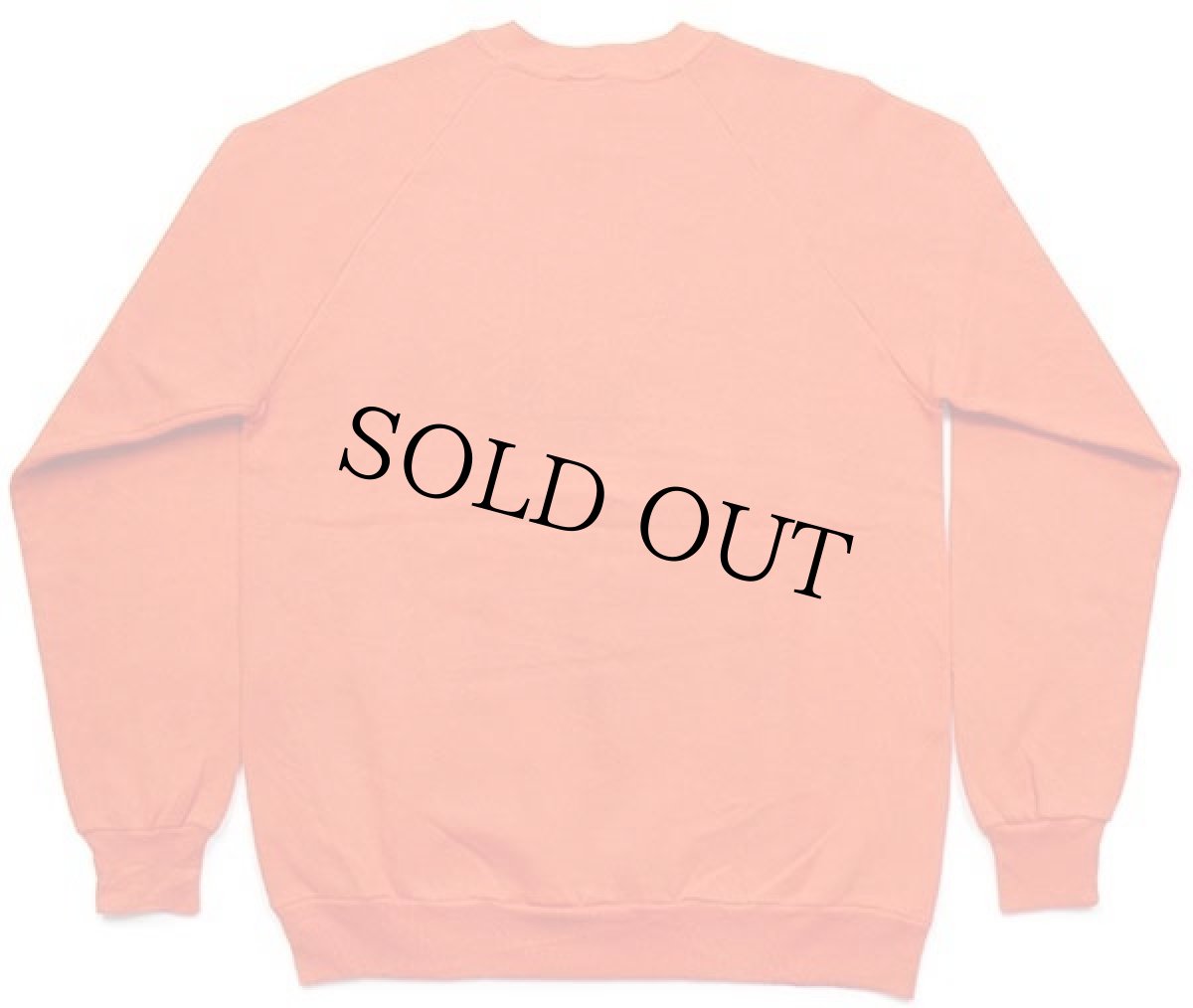 画像2: 80s USA製 FLORIDA GATORS マスコット スウェット オレンジ L★RUSSELLラッセル (2)