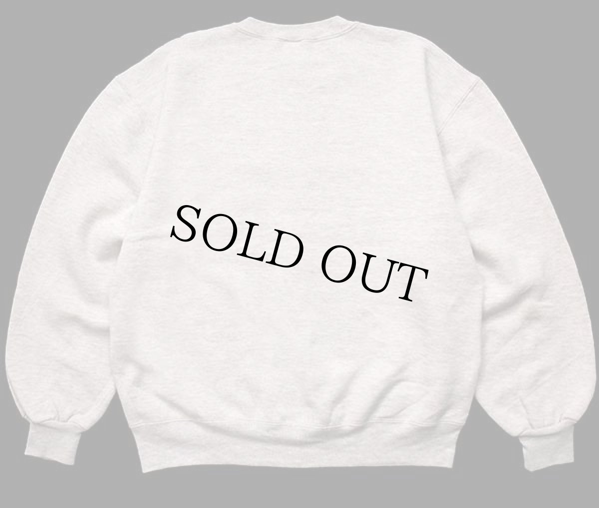 画像2: 90s USA製 RUSSELLラッセル 無地 前V スウェット オートミール L★ブランク (2)