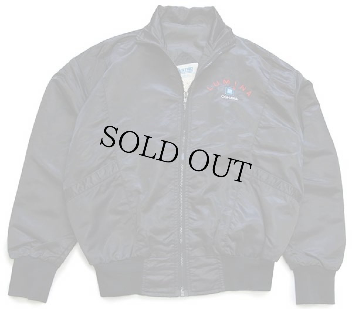 画像2: 80s カナダ製 ASTRO THE Heartbeat OF AMERICA LUMINA OSHAWA GM 刺繍 ナイロンジャケット 黒 (2)