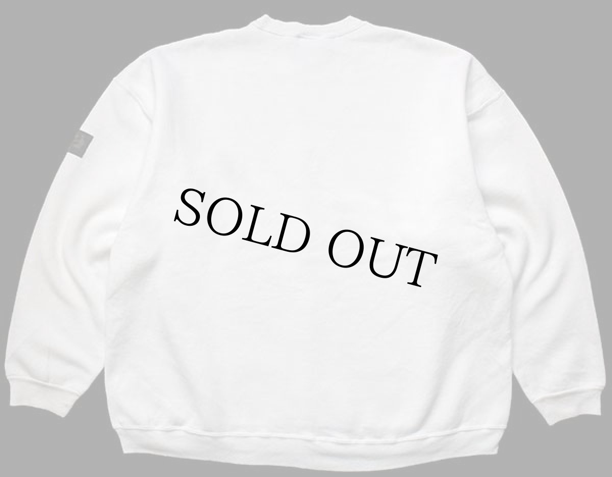 画像2: 90s USA製 Hanes DINOTOPIA ブラキオサウルス アート スウェット 白 XL (2)