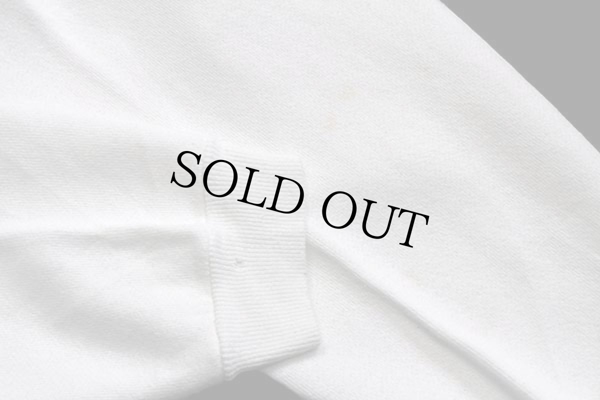 画像6: 90s USA製 Hanes DINOTOPIA ブラキオサウルス アート スウェット 白 XL (6)