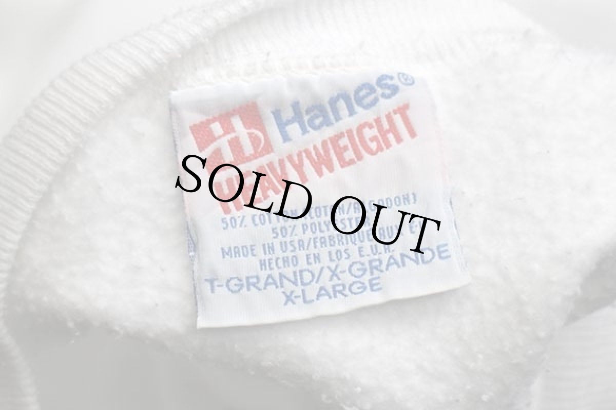 画像5: 90s USA製 Hanes DINOTOPIA ブラキオサウルス アート スウェット 白 XL (5)