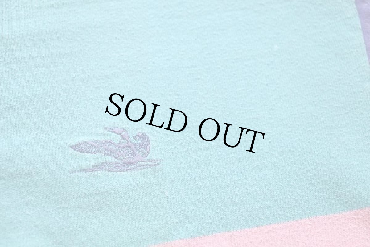 画像5: 90s NORTHERN REFLECTIONS ロゴ刺繍 クレイジー 太ボーダー ラガーシャツ パステルカラー (5)