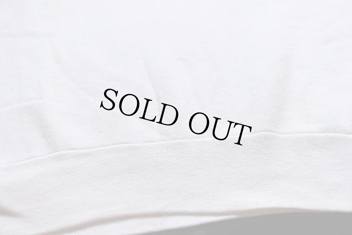 画像8: 60s CHAMPIONチャンピオン ランタグ MOOSEHEART フロッキープリント 襟付き ハーフジップ コットン 半袖スウェット 白 L (8)