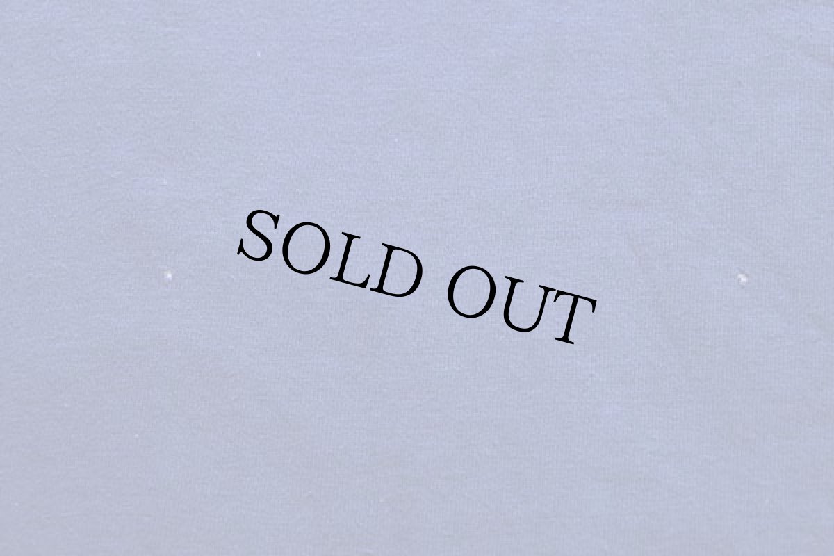 画像10: 70s USA製 Championチャンピオン NAHS コットン リバーシブルTシャツ 青×白 L (10)