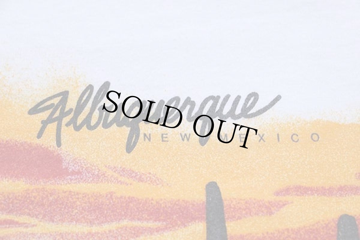 画像6: 90s Albuquerque NEW MEXICO San Segal サボテン 両面プリント アート コットンTシャツ 白 M (6)