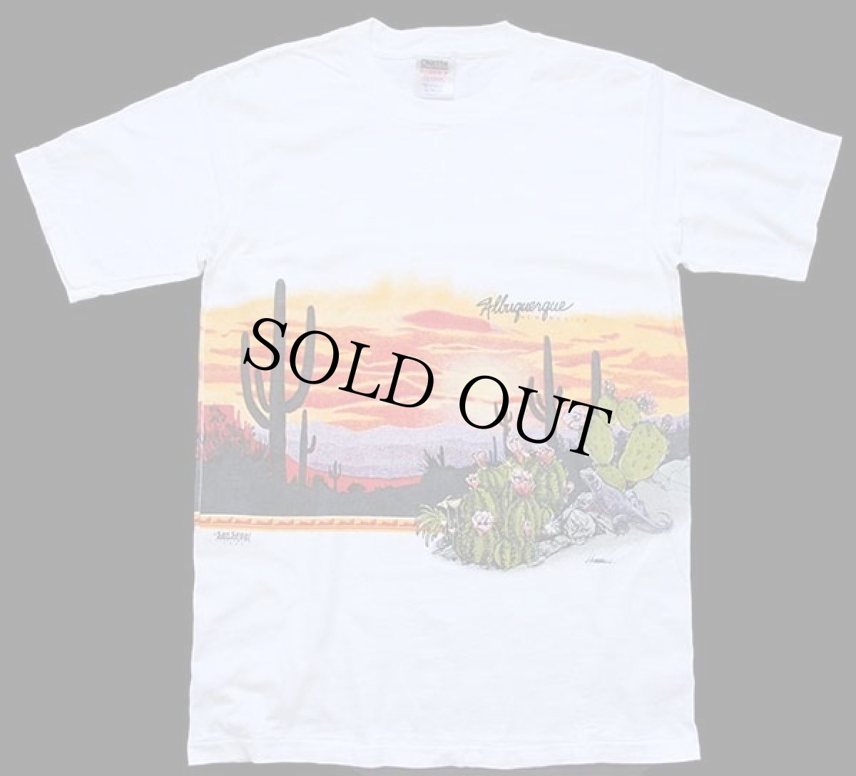 画像2: 90s Albuquerque NEW MEXICO San Segal サボテン 両面プリント アート コットンTシャツ 白 M (2)