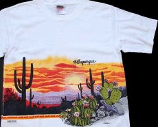画像1: 90s Albuquerque NEW MEXICO San Segal サボテン 両面プリント アート コットンTシャツ 白 M (1)