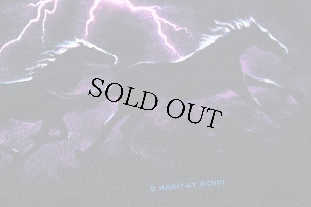 画像6: 90s HABITAT ホース サンダー アート Tシャツ 黒 M (6)