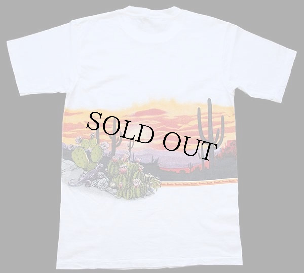 画像3: 90s Albuquerque NEW MEXICO San Segal サボテン 両面プリント アート コットンTシャツ 白 M (3)