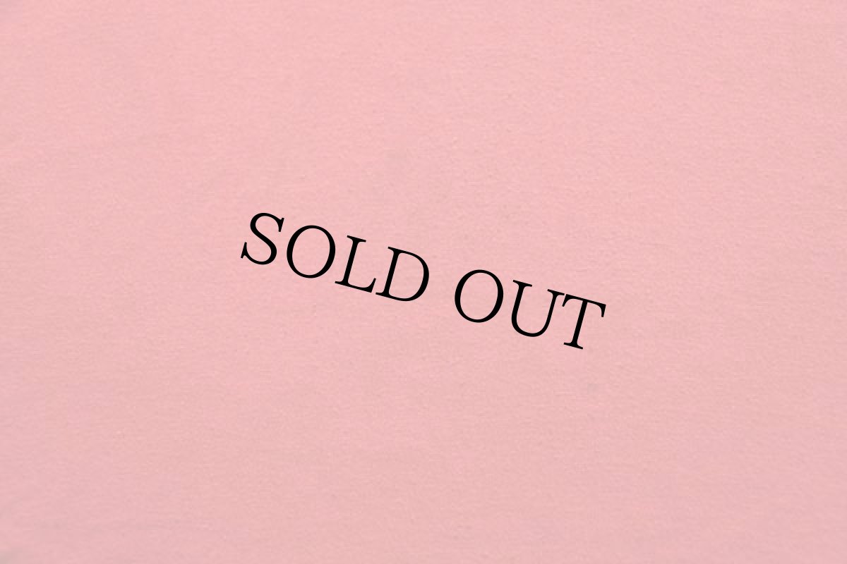 画像8: 80s USA製 U.S.MARINE Bulldogs ブルドッグ マスコット Tシャツ 赤 XL (8)