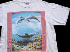 画像1: 90s USA製 SEAWATCH PROTECT OUR SEA LIFE イルカ 両面プリント アート Tシャツ 杢ライトグレー M (1)