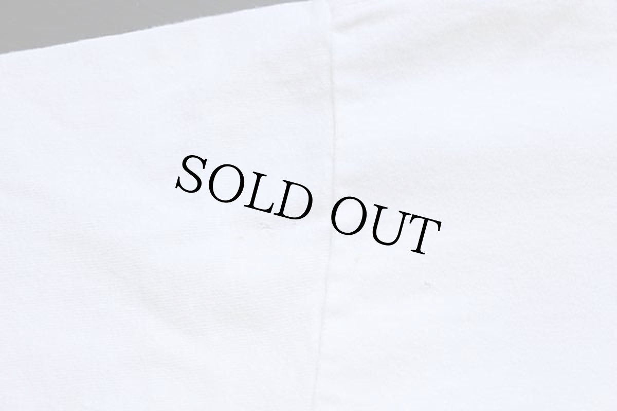 画像7: 90s USA製 Leeリー NAKED IGUANA イグアナ アンディウォーホル風 アート コットンTシャツ カスタム 白 XL (7)