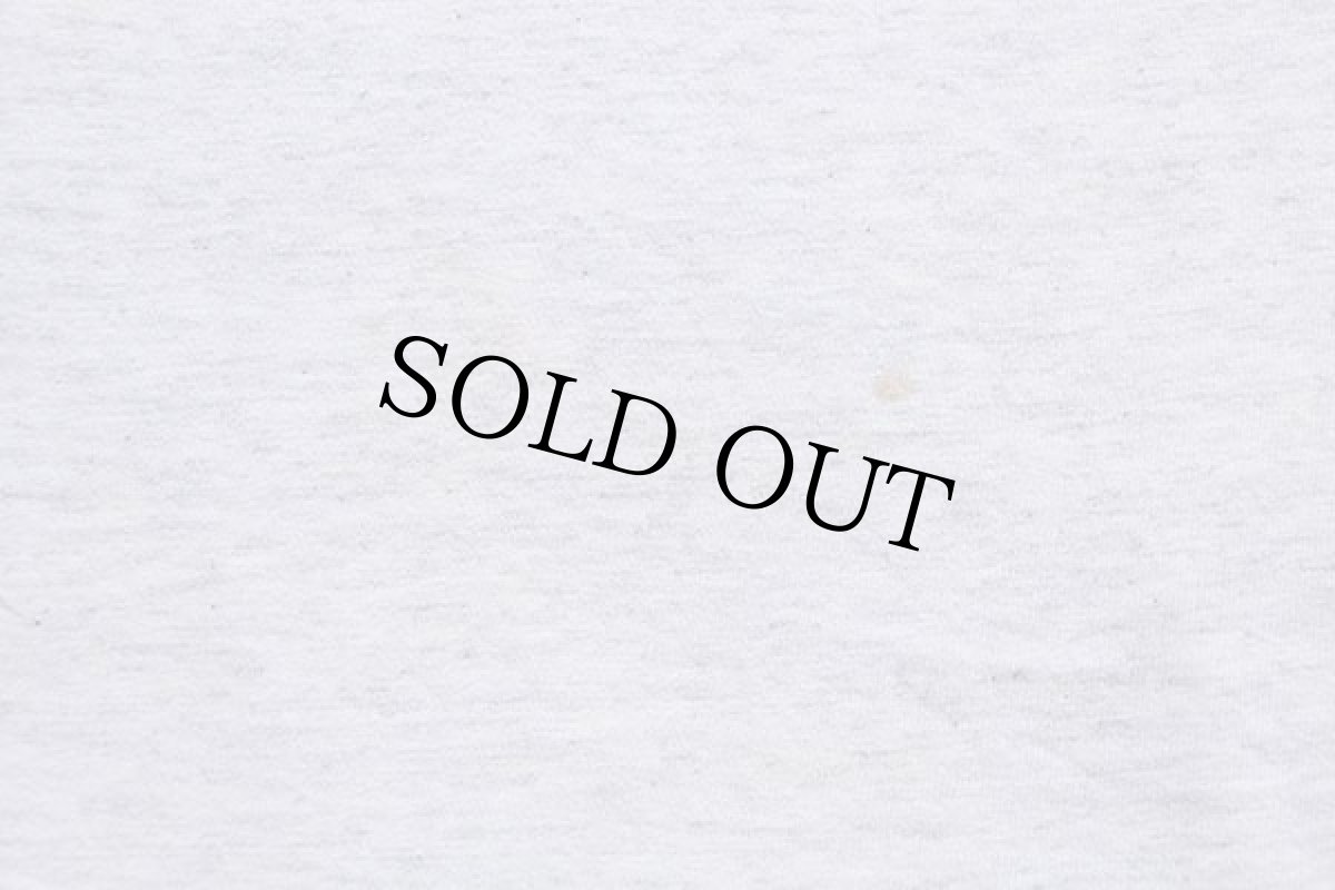 画像7: 90s USA製 SEAWATCH PROTECT OUR SEA LIFE イルカ 両面プリント アート Tシャツ 杢ライトグレー M (7)