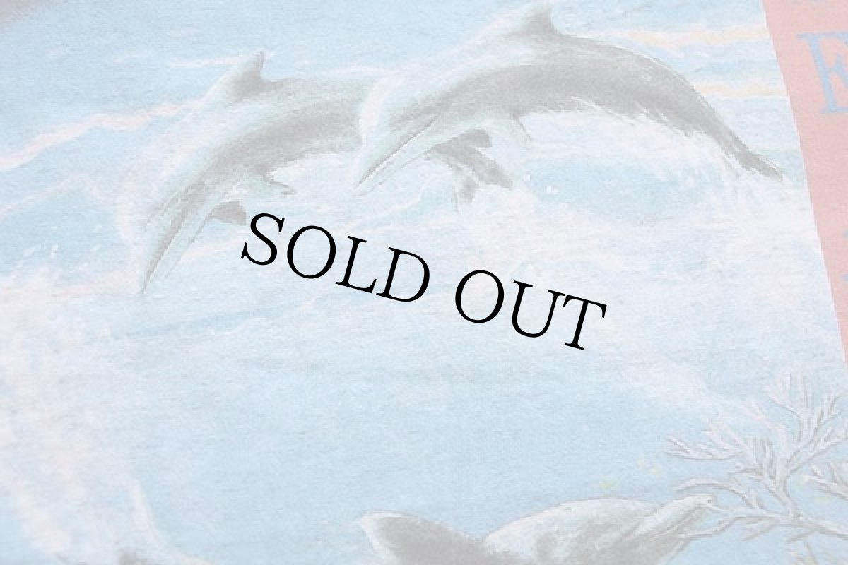 画像5: 90s USA製 SEAWATCH PROTECT OUR SEA LIFE イルカ 両面プリント アート Tシャツ 杢ライトグレー M (5)