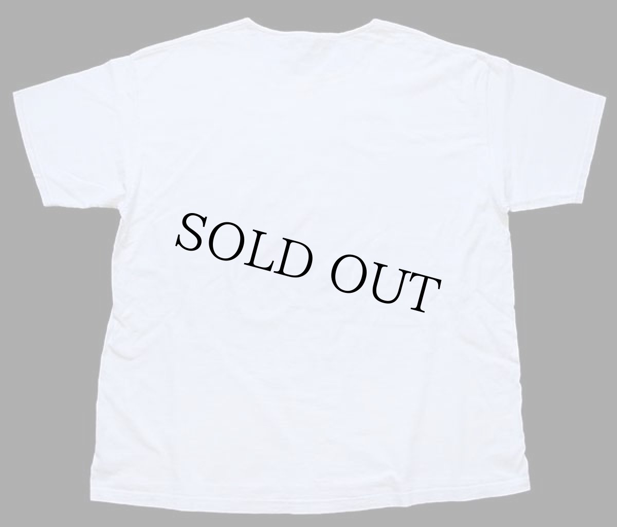 画像3: 90s USA製 Leeリー NAKED IGUANA イグアナ アンディウォーホル風 アート コットンTシャツ カスタム 白 XL (3)