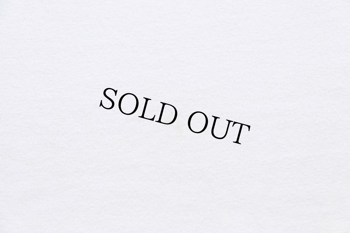 画像5: 90s UNIVERSITY OF NEBRASKA KEARNEY ANTELOPE BOOKSTORE 両面プリント コットンTシャツ 白 XL (5)