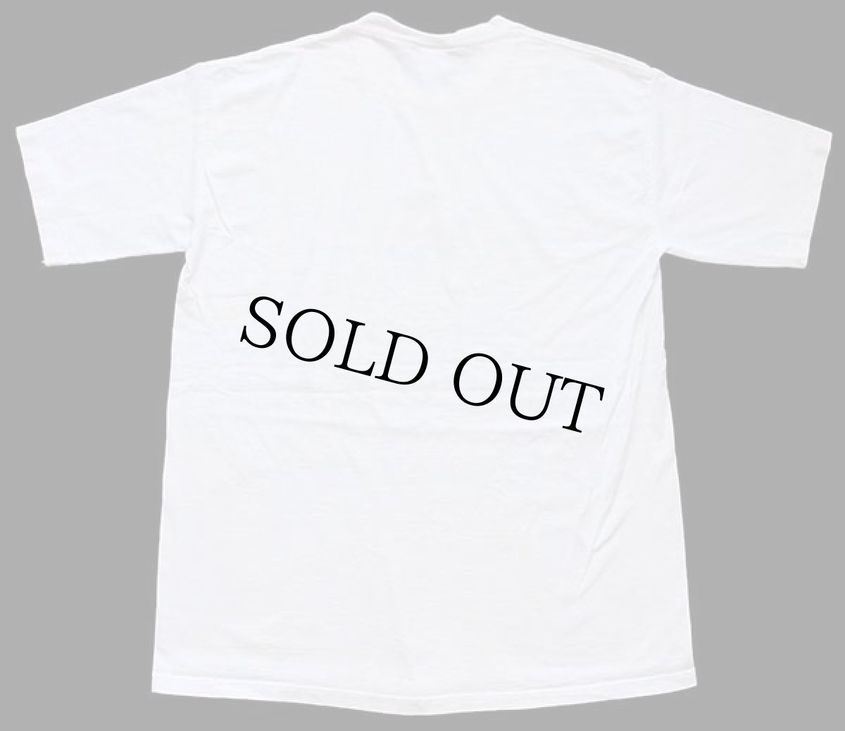 画像3: 90s University of Florida マスコット コットンTシャツ 白 L (3)