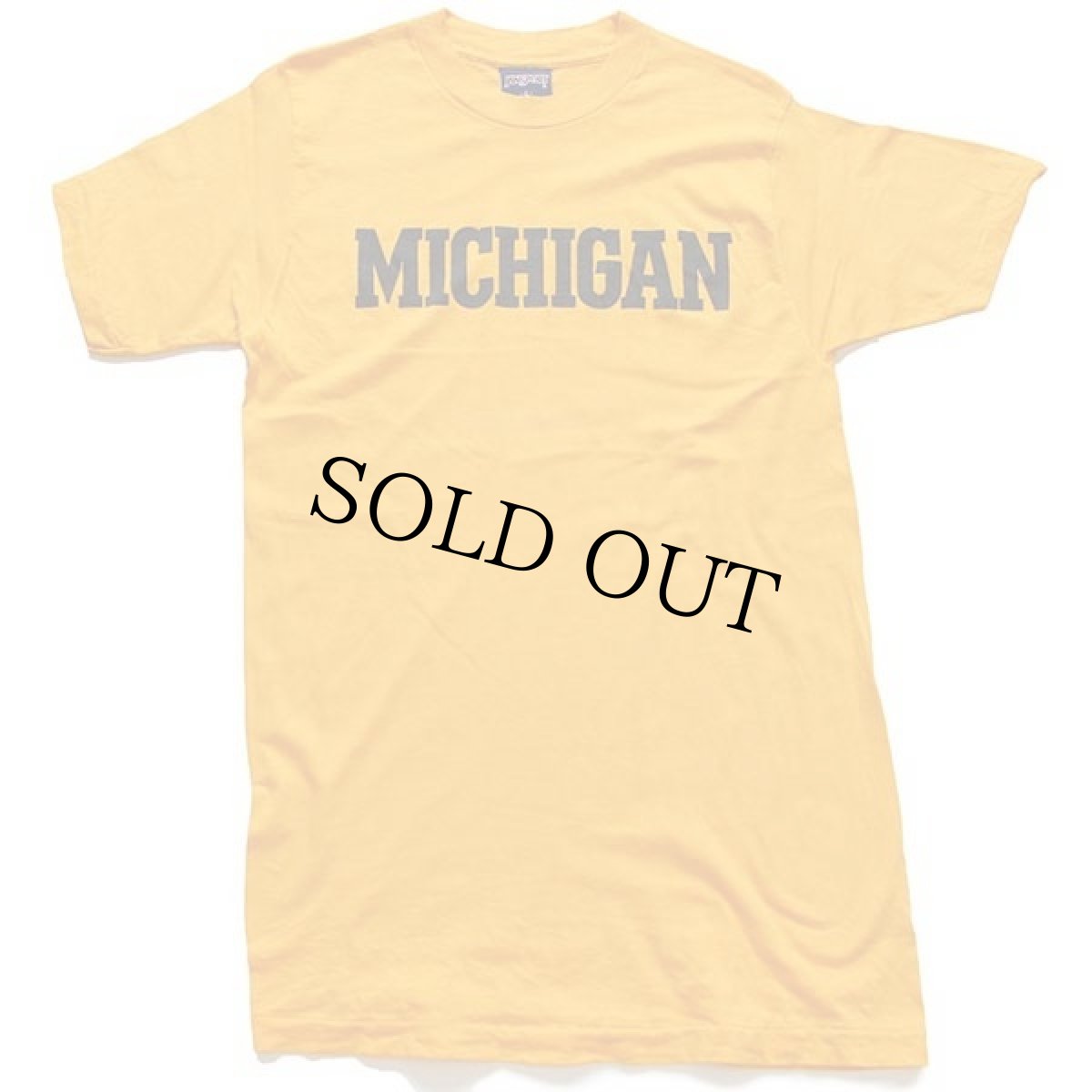 画像2: 90s USA製 JANSPORTジャンスポーツ MICHIGAN コットンTシャツ 濃黄 L (2)
